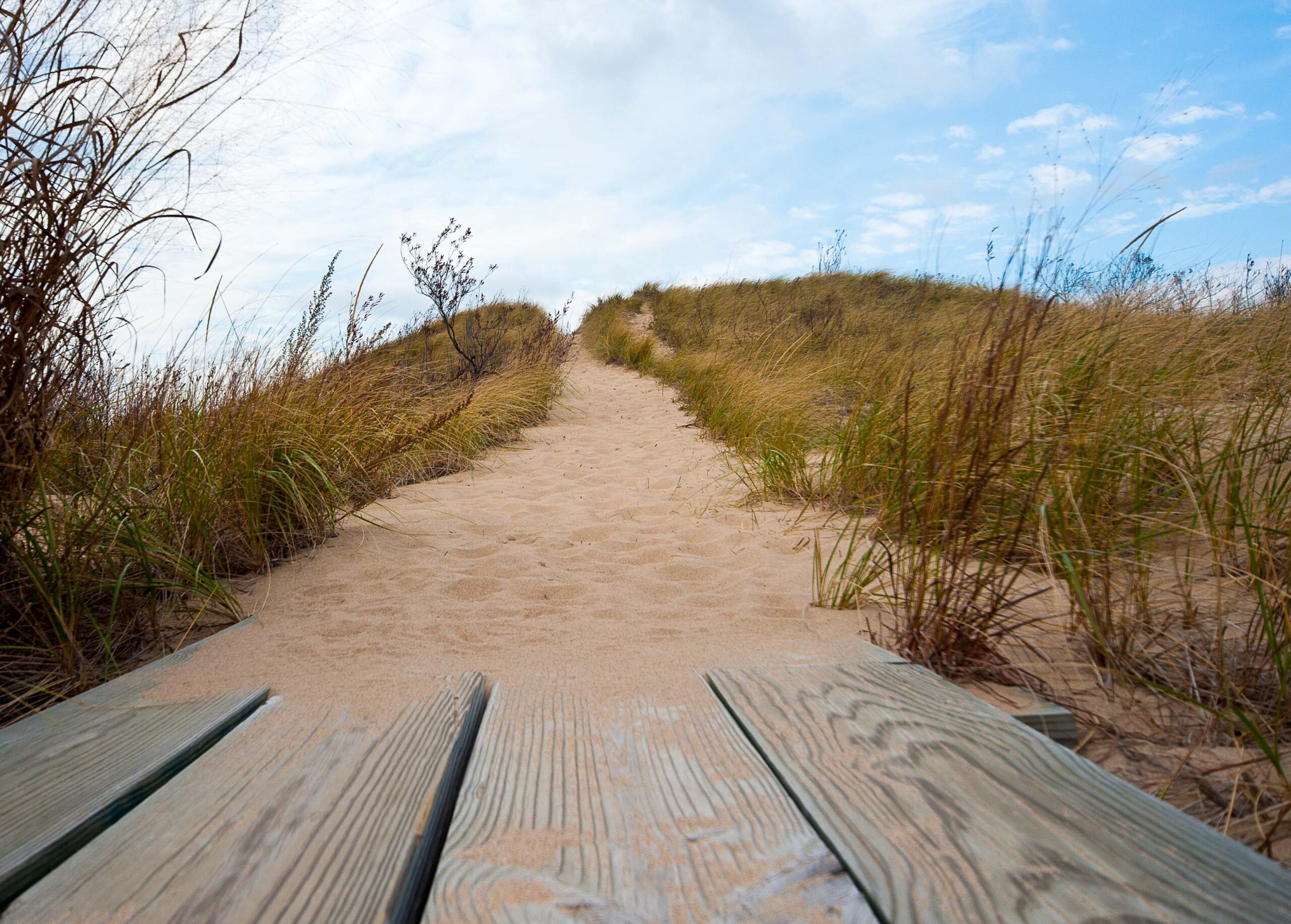 sand dune